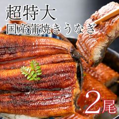 超特大 国産 蒲焼きうなぎ 200g×2尾 送料無料 | うなぎ 鰻 ウナギ