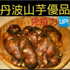 丹波山芋優品2キロ(山芋)