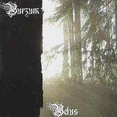 2025年最新】burzum cdの人気アイテム - メルカリ