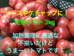 トマト　調理・加工向け　3kgのサムネイル