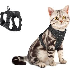 Item thumbnail for item 7cdb6382-2d1c-4314-9ff5-d2c2733e41d4