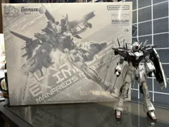 2025年最新】MG 1/100 ガンダムエクスインパルスの人気アイテム