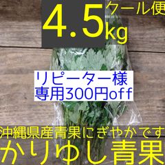 〈リピーター様専用300円off〉沖縄県産　フーチバー（ニシヨモギ）　約4.5kg  【クール便】①