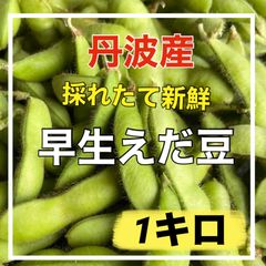 月曜日発送‼️大粒枝豆‼️早生枝豆1キロ‼️丹波産枝豆❣️大粒で甘味のある枝豆