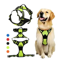 中型，大型犬用ハーネス　もちろん小型犬用サイズもございます。