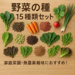 野菜の種　1,000円セット【2025年】家庭菜園・無農薬栽培におすすめ！