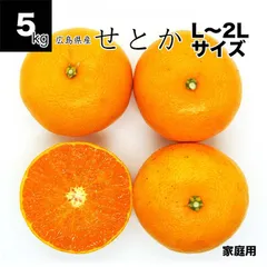 送料無料/プレゼント付♪ 27 美味し〜い山北みかんちゃん M.L.LLサイズ