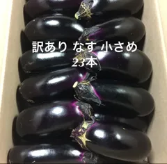 【超メルカリ市開催中！】高知県産ナス　10㎏(Mサイズ 約120本) 朝採れ新鮮！まっことうまいぜよ》高知県産ナス1kg（約11本