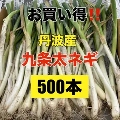 Uta様専用ページ❣️丹波産‼️九条太ねぎ苗‼️500本‼️苗の専門店より発送‼️