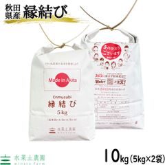 お米 米 米10kg （5kg×2袋） 縁結び 精米 白米 秋田県産 令和5年産 農家直送 古代米お試し袋付き
