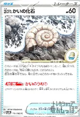 古びたかいの化石【154/165】【ミラー/マスターボール】のサムネイル