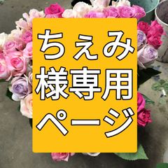 バラ  おまかせミックス ４０センチ50本❨生花 切り花 花束❩