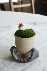 【koke栽培set】三点はめ込み台付きカップ