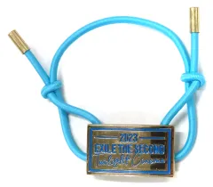 【中古】アクセサリー(非金属) EXILE THE SECOND ゴムブレス(ライトブルー) 「EXILE THE SECOND LIVE TOUR 2023 ～Twilight Cinema～」 埼玉・兵庫・滋賀・岡山会場限定