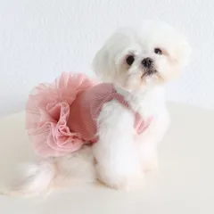 限界値下げ　Ballerina tulle mini one-piece Treat Ürself spring/summer collection 2023 Ballerina series