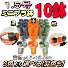 1.5号鉢ミニプラ鉢-  [黒/茶/緑/混色] 10鉢＊多肉植物・塊根植物コーデックス・アガベ・サボテン・観葉・ハオルチア・アデニウム・パキポディウム・実生＠フラワーショップ江口
