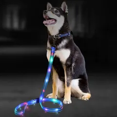 EU SOU 光るリード 犬 LED USB充電 夜間 発光 散歩 ライト 犬用 小型犬 中型犬 大型犬 ペット用品(ブルー,  120CM)