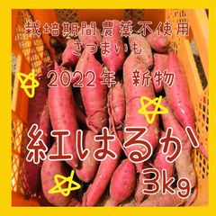 【新物】サツマイモ 紅はるか 3kg さつまいも【栽培期間農薬不使用野菜】