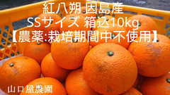 紅八朔　因島産　箱込10kg　SSサイズ【農薬：栽培期間中不使用】 防腐剤無　農家直送　訳あり