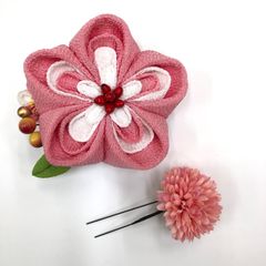 Item thumbnail for item 81302c69-7180-4a59-9c77-544d51b42e97