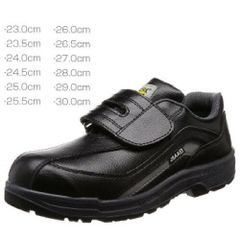 Item thumbnail for item 2cff4429-e796-4b5f-bf66-38a4a656e8ab