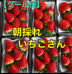 2024年最新】冷凍 いちご 500gの人気アイテム - メルカリ