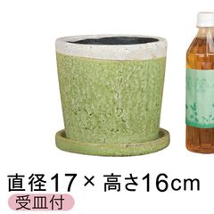 【新品】直径17.5cm クレイパ 植木鉢 おしゃれ かわいい 鶯 貫入釉薬 受皿付 室内 屋内 多肉植物 観葉植物 小さい鉢