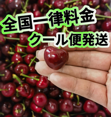 全国一律料金‼️クール便発送‼️箱込み2kg  アメリカンチェリー　さくらんぼ　车厘子