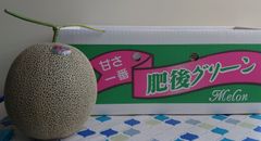 長崎県産 肥後グリーンメロン大玉 5L 2玉 甘くて美味しい💕