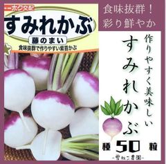 【野菜の種】美しい紫かぶ「すみれかぶ」の種５０粒～やわらかく食味抜群で育てやすい