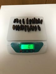 工場直売　関西産A級品 乾燥赤なまこ  100g20本(計量時100g22本)