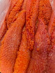 ⚠️早朝に申し訳ございません⚠️今シーズン最後の販売⚠️ 北海道産秋鮭生筋子1kg