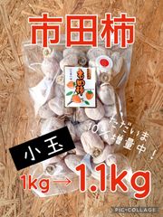 市田柿　徳用1kg→1.1kg（小玉）