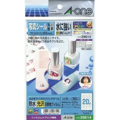 （まとめ買い）エーワン 写真シール 水に強いタイプ 20面 4枚 29614 【×5セット】