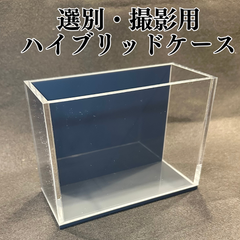 【五藤めだか】選別・撮影ハイブリッドケースAB品(グレー) メダカ用