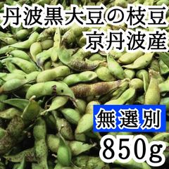 10/25頃発送 850g【訳あり】 無選別　丹波黒大豆の枝豆　黒豆の枝豆　京丹波産　アサイファーム