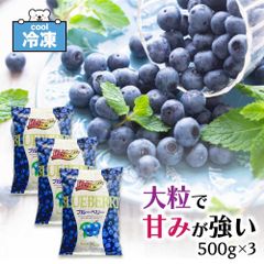 冷凍ブルーベリー ノースイ VeryBerry 大容量 ブルーベリー 業務用 1.5kg ( 500g ×3) 冷凍 ベリー スイーツ 冷凍フルーツ SC 「冷凍ブルーベリー」 送料無料