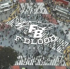 ミュージック F-BLOOD TOUR 2008 Ants DVD 2025年最新】f-blood dvdの人気アイテム - メルカリ