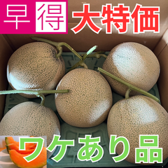 [訳あり品大特価] 北海道産メロン　計8kg箱