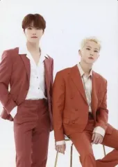 【中古】コレクションカード(男性) 113：SEVENTEEN/HOSHI(ホシ)・DINO(ディノ)/「SEVENTEEN WORLD TOUR [BE THE SUN] - JAPAN」フォトカード