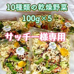 【サッチー様専用】10種類の乾燥野菜100g×5袋