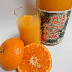 愛媛県産なつみジュース 720ml 4本セット - メルカリ