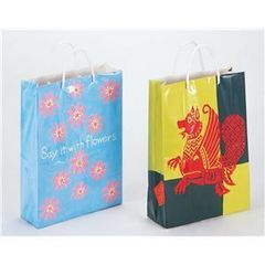 レイクアルスター☆ショッパー☆紙袋 レイクアルスター☆ショッパー☆紙袋 - メルカリ