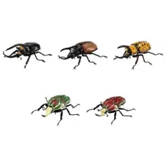 BANDAI バンダイ いきもの大図鑑 かぶとむし08 × 全5種セット フルコンプ ガチャガチャ カプセルトイ