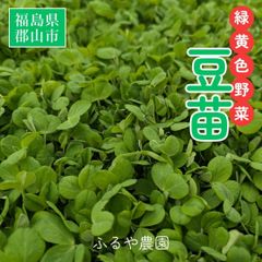 3973○B級100g④冷蔵便送込 花山椒＋木の芽[20260418] - メルカリ