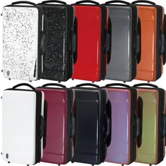 Altieri フリューゲル　or トランペット　シングル　ソフトケース　美品！ 61gVWI1dcIL._UF894,1000_QL80_.jpg