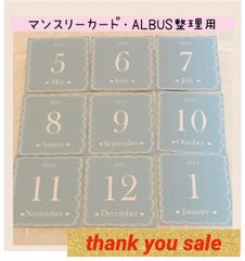 2505【即日発送】♡大人気♡マンスリーカード　月齢カード　アルバス整理用　くすみ水色