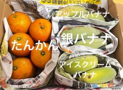 ショップ限定価格！沖縄産たんかん、バナナ3種セット　アップルバナナetc.