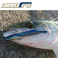 Item thumbnail for item 5e6d7601-de00-4333-a3c1-1b118f1bcdd3