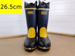 Item thumbnail for item 1a4886ba-d28a-494f-bdd7-c62ee16b9d01